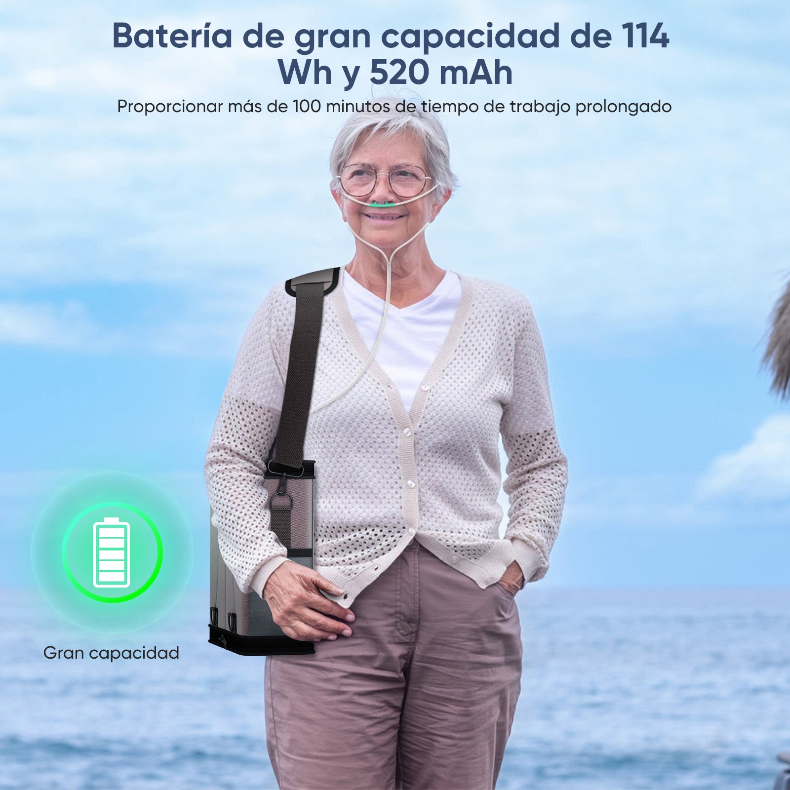 Concentrador de oxígeno portátil de flujo continuo VARON VP-6, silencioso y confiable